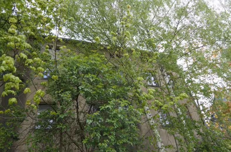 Mehrfamilienhaus in Zittau - Bild 3