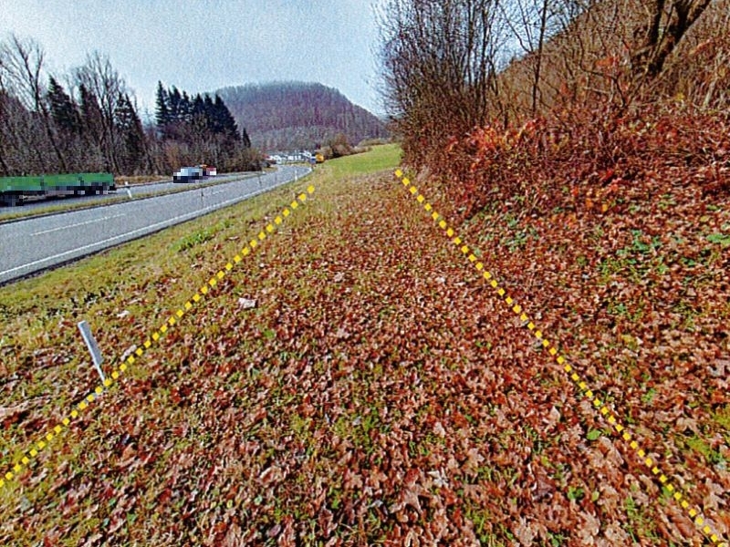 Wiese im Naturschutzgebiet in Geislingen an der Steige - Bild 1