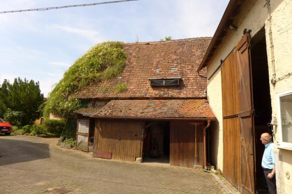Wohnhaus, Wirtschaftsgebäude, Hofraum, Garten in Gutenstetten - Bild 3