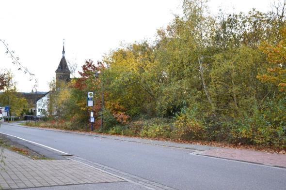 unbebautes Grundstück in Mendig - Bild 1