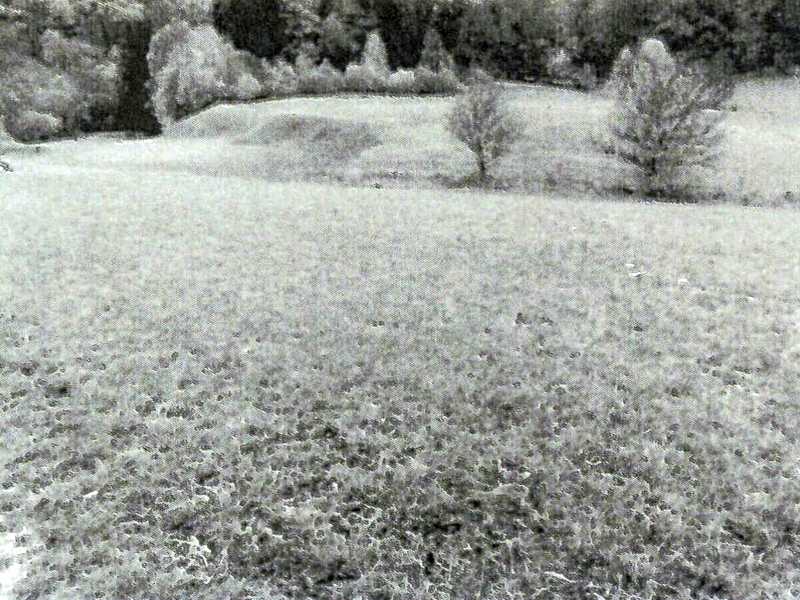 Landwirtschaftsflächen in Ammerbuch - Bild 2