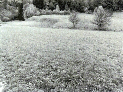 Landwirtschaftsflächen in , 72119 Ammerbuch OT Entringen - Bild 2