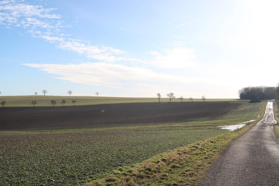 Landwirtschaftsfläche/Sondergebiet für Windenergie in Klipphausen - Bild 3