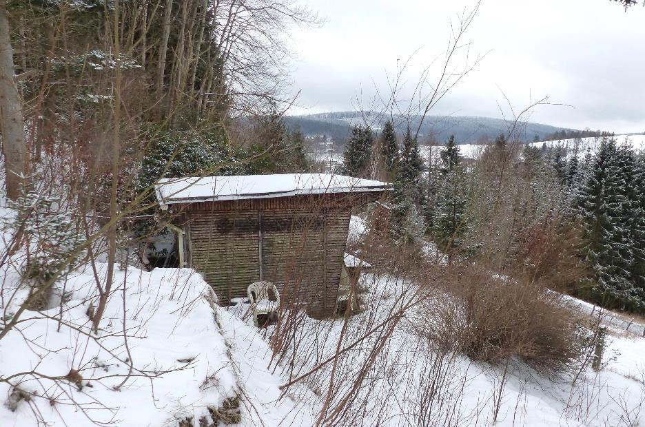 Grundstück bebaut mit Gartenbungalow in Bremen - Bild 1