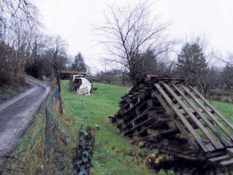 Landwirtschaftsflächen in Wiesloch - Bild 1