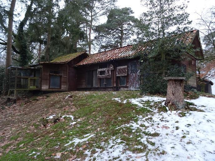 Einfamilienhaus, Terminsbestimmung in Wildeshausen - Bild 4
