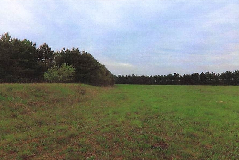 Land-/Forstwirtschaftsflächen und Gartenlandflächen in Schönewalde - Bild 4