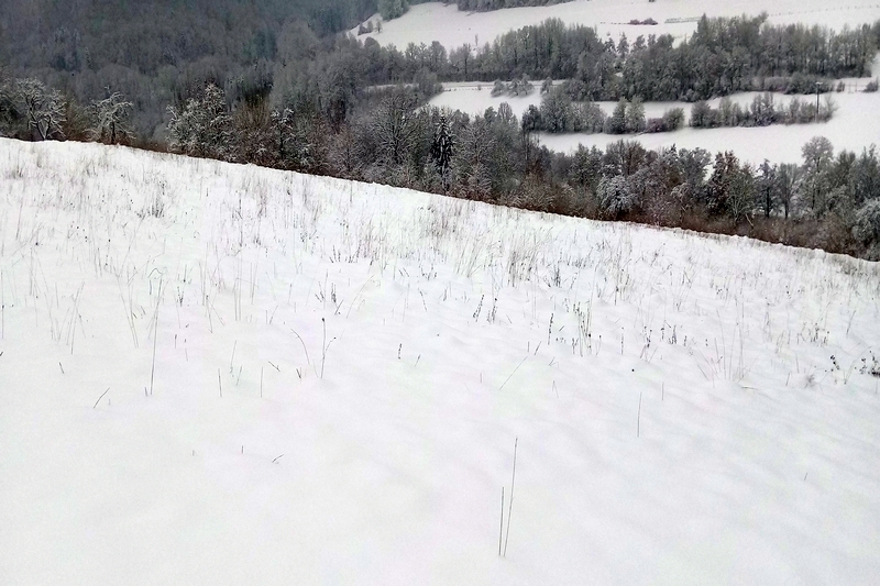 Landwirtschafts-/Waldfläche in Künzelsau - Bild 2