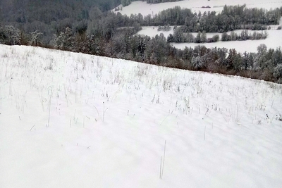 Landwirtschafts-/Waldfläche in , 74653 Künzelsau - Morsbach - Bild 2