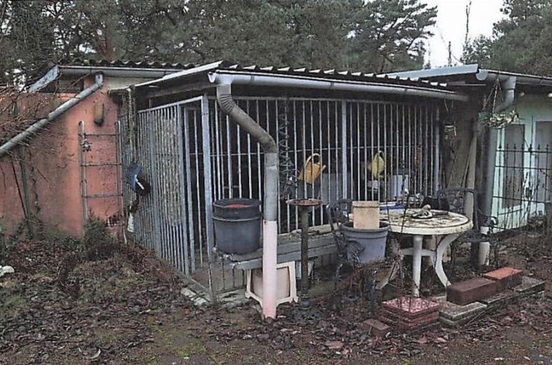 Wohn-/Geschäftshaus und Nebengelass in Eisenhüttenstadt - Bild 4