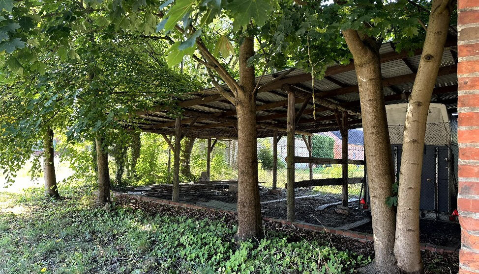 Sonstiges in Plattenburg - Bild 3