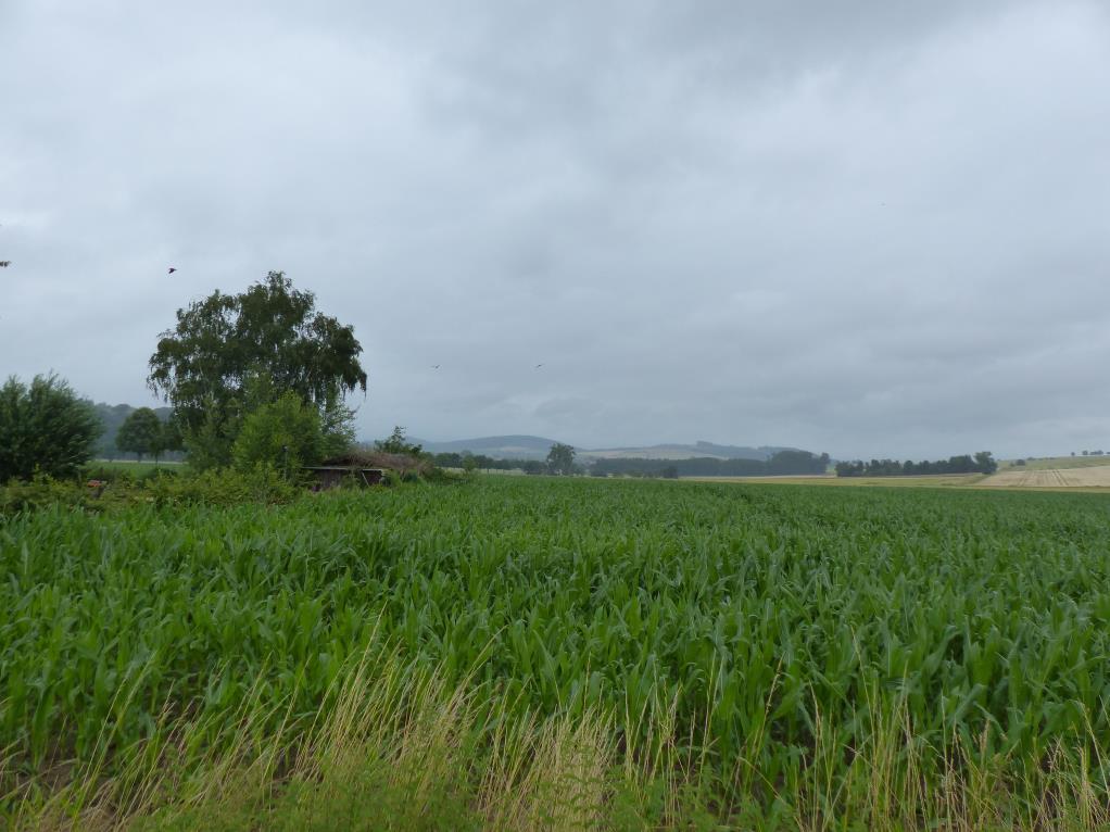 unbebautes Grundstück in Berka - Bild 4