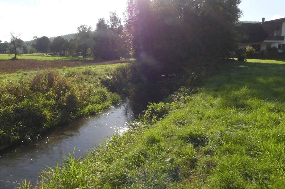 Wohn-/Geschäftshaus in Spangenberg - Bild 4