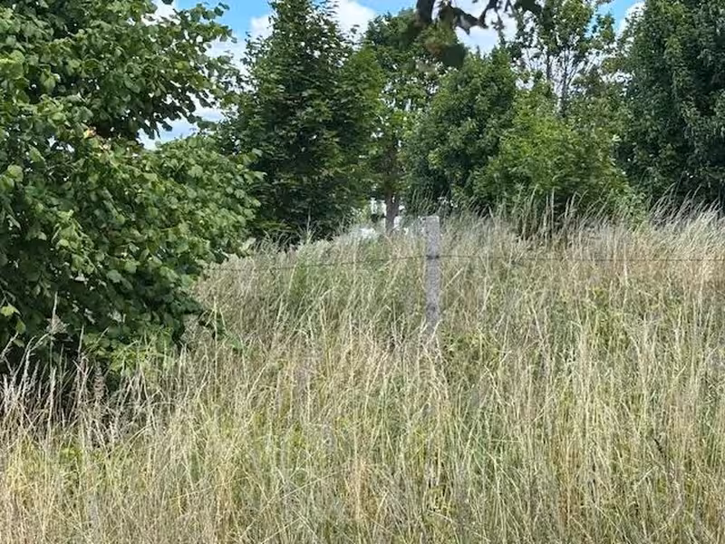 Abgrabungsflächen im Bergwerksfeld 'Neubrandenburg-Spargelberg' in Neubrandenburg - Bild 4