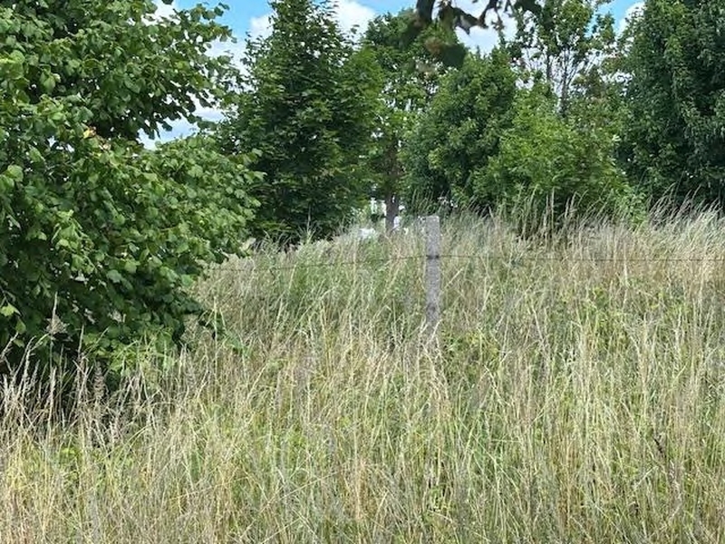 Abgrabungsflächen im Bergwerksfeld 'Neubrandenburg-Spargelberg' in Neubrandenburg - Bild 4