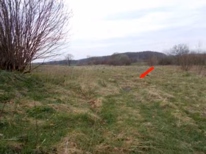 Resthof und Landwirtschaftsflächen in Tolk - Bild 2