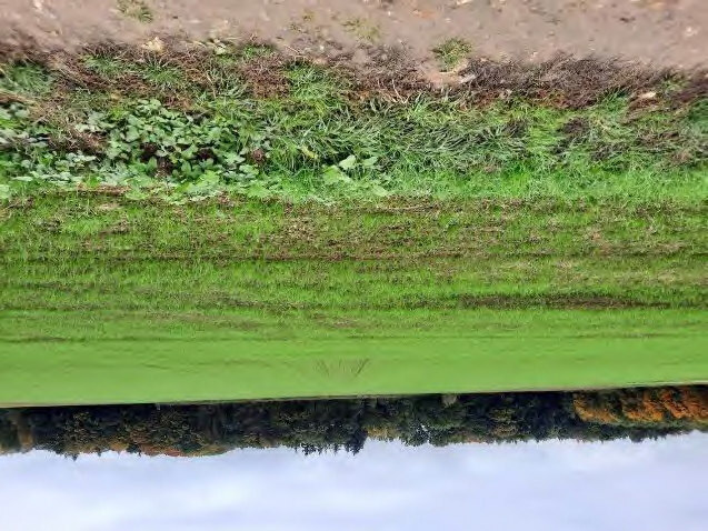 land- und forstwirtschaftlich genutztes Grundstück in Gudensberg - Bild 3