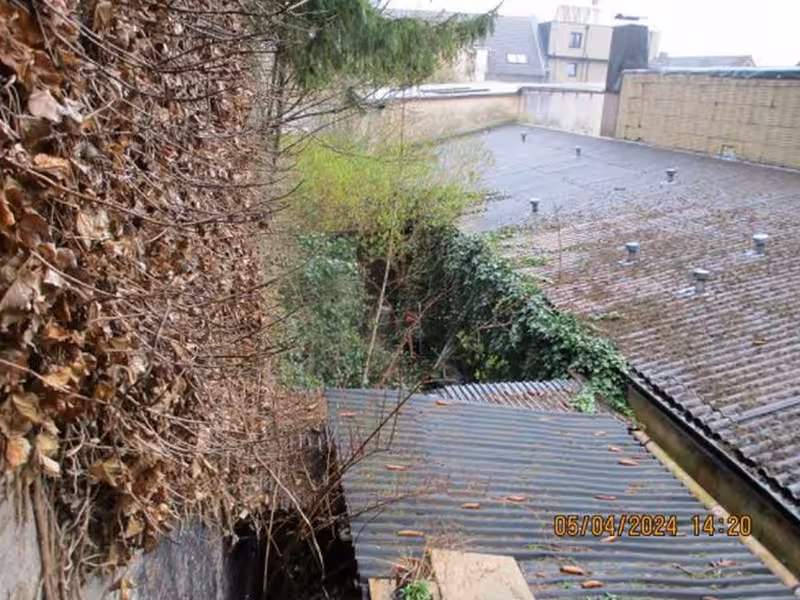 Wohn-/Geschäftshäuser in Schleswig - Bild 2