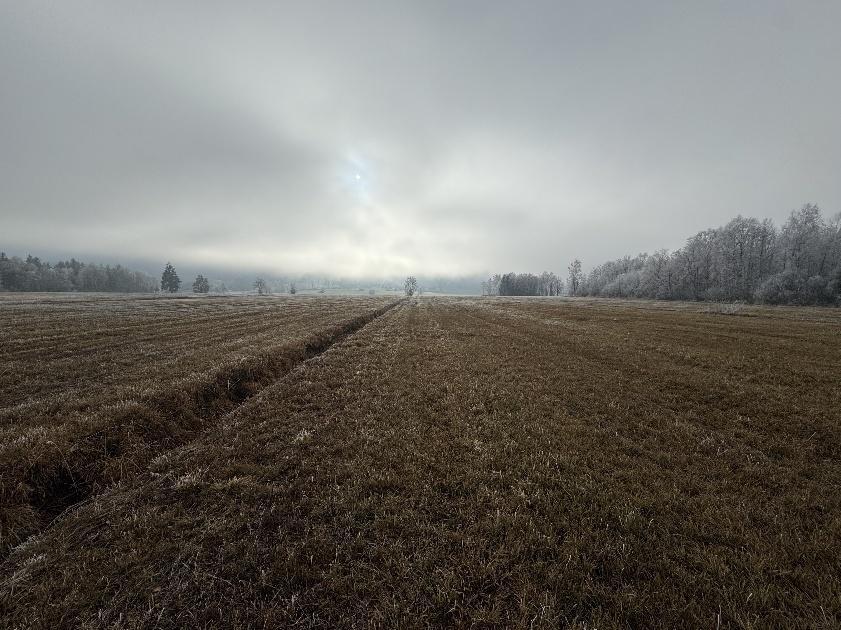 Hofstelle mit landwirtschaftlichen Flächen in Staudach-Egerndach - Bild 1
