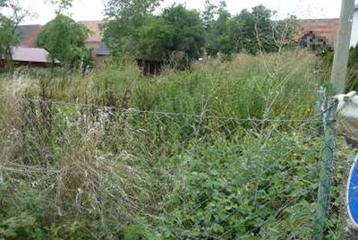 Unbebautes Grundstück in Bachweg, 74937 Spechbach - Bild 1