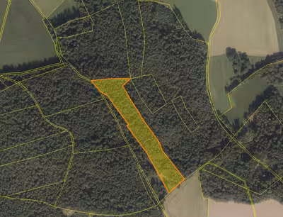 Waldfläche, Verkehrsfläche in Am Berg, 92685 Floß - Bild 1