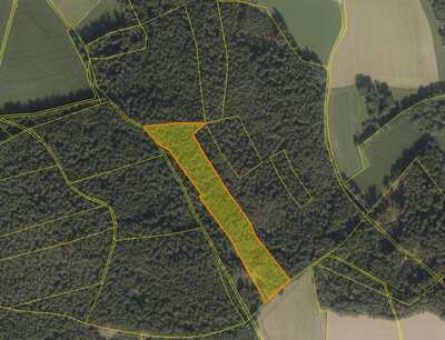 Waldfläche, Verkehrsfläche in Am Berg, 92685 Floß - Bild 1