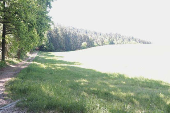 land- und forstwirtschaftlich genutztes Grundstück in Maxhütte-Haidhof - Bild 1