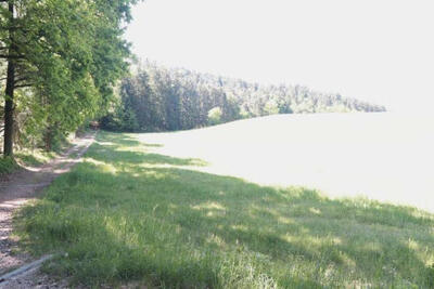 land- und forstwirtschaftlich genutztes Grundstück in Kappläcker, 93142 Maxhütte-Haidhof, Neukappl - Bild 1