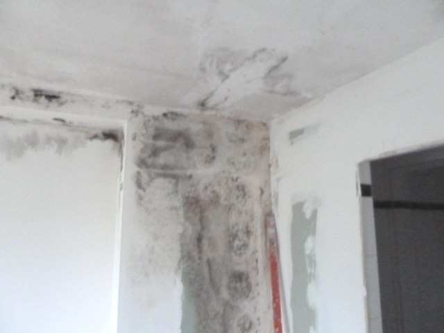 Mehrfamilienhaus in Lengerich - Bild 4