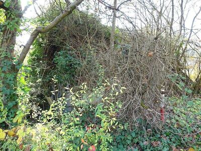 Gartengrundstücke in , 70329 Stuttgart-Rohracker - Bild 1