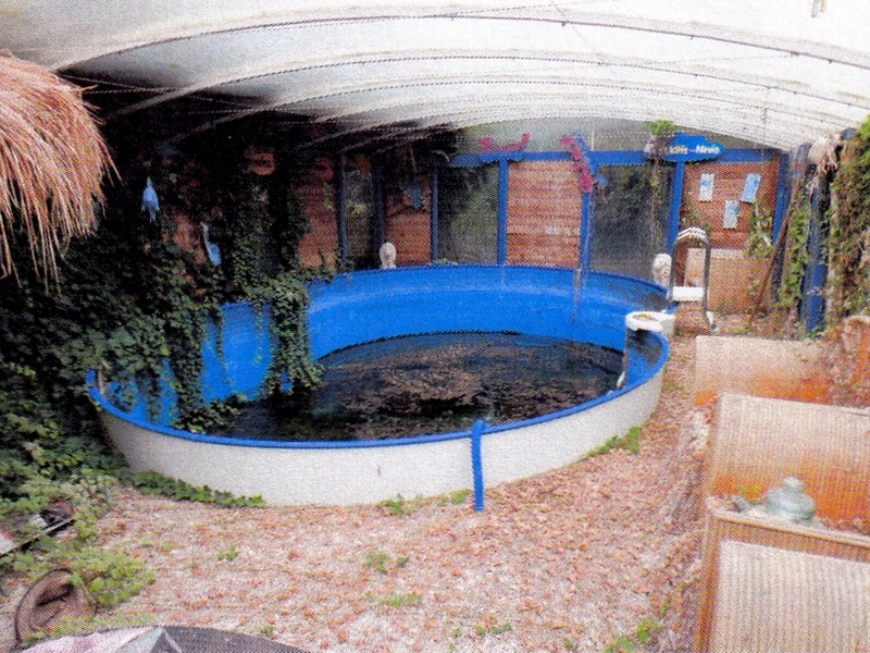 Wohnhaus mit 2 Wohneinheiten und Nebengebäuden in Rellingen - Bild 3