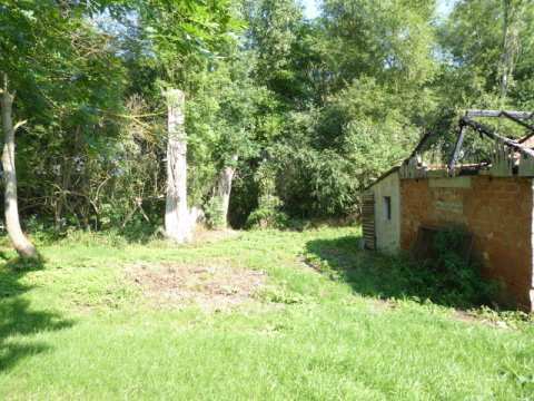 Sonstiges in Amt Wachsenburg - Bild 2