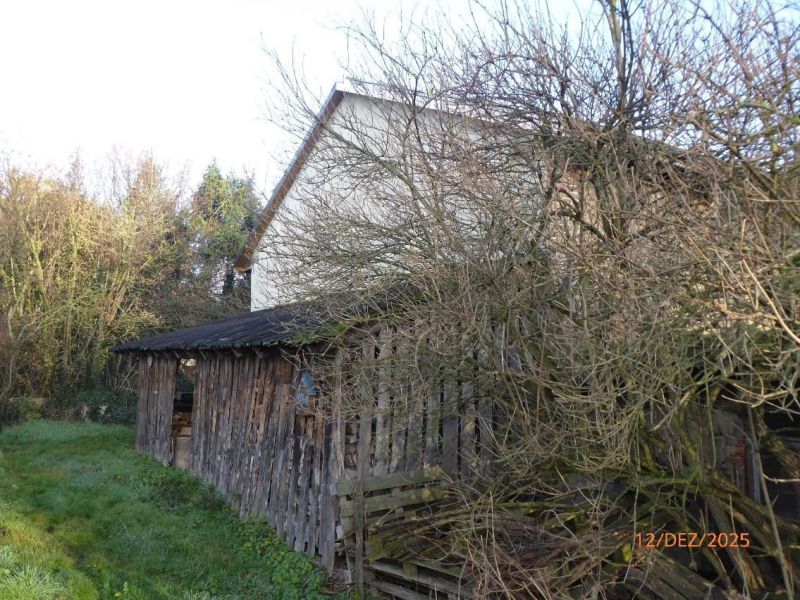 Einfamilienhaus mit Scheune und Grünland in Meineweh - Bild 1
