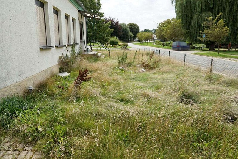 Einfamilienhaus mit Doppelcarport in Zölkow - Bild 4