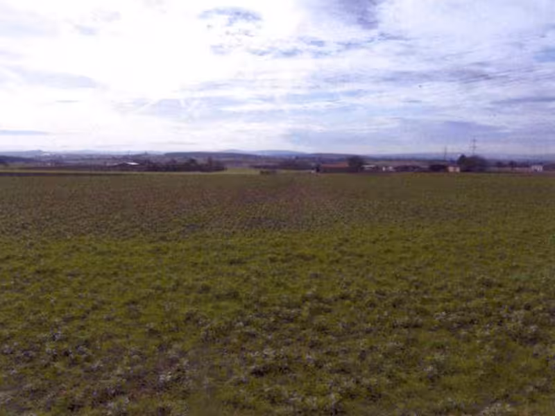 Landwirtschaftsflächen in Ludwigsburg - Bild 1