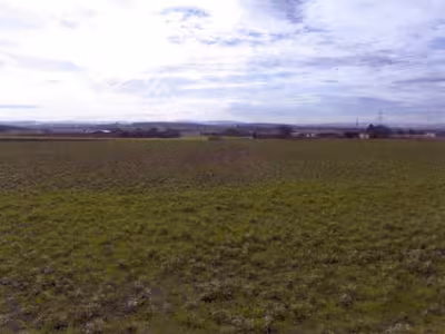 Landwirtschaftsflächen in , 71642 Ludwigsburg-Poppenweiler - Bild 1