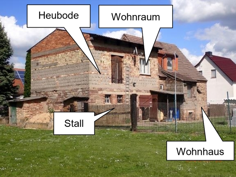 Einfamilienhaus mit Nebengebäuden in Nebra (Unstrut) - Bild 3