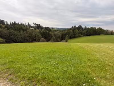land- und forstwirtschaftlich genutztes Grundstück in Birnbaumacker, 94161 Ruderting - Bild 2