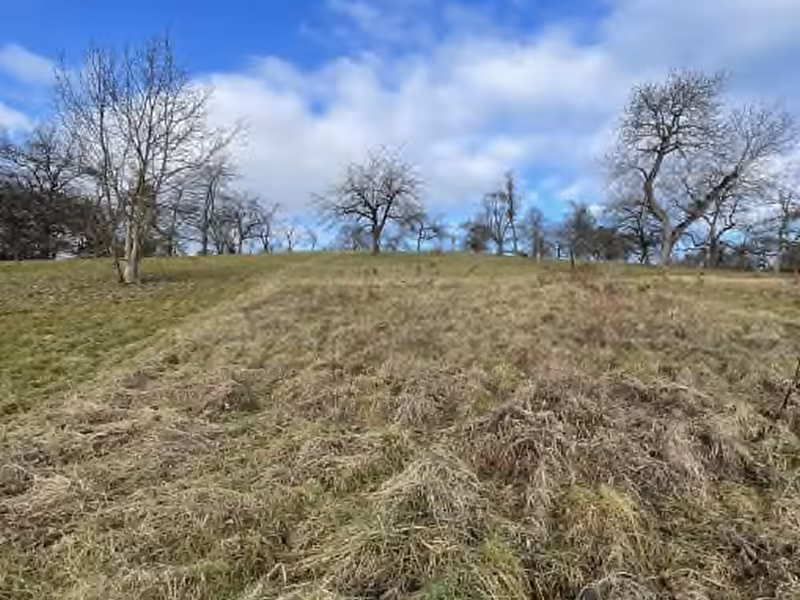 Bauplatz und Grün-/Gartenland in Gomaringen - Bild 3