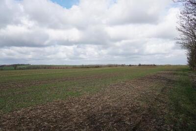 land- und forstwirtschaftlich genutztes Grundstück in Links am Mühlensteige, 39164 Stadt Wanzleben-Börde, OT Klein Wanzleben - Bild 2