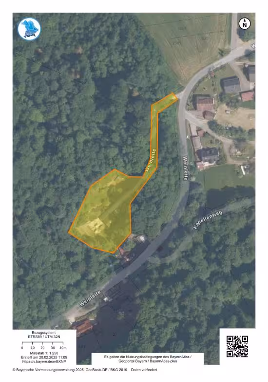 Einfamilienhaus in Haimburg - Bild 3