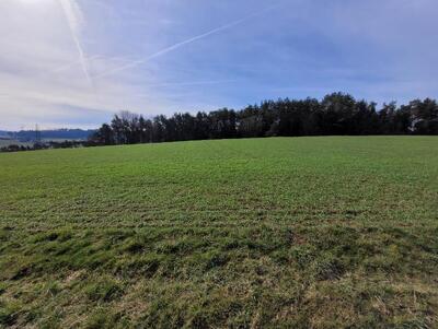 land- und forstwirtschaftlich genutztes Grundstück in Unter dem Graben, 35239 Steffenberg, Niedereisenhausen - Bild 1