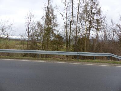 unbebautes Grundstück in Wald, Hellrecke, 37627 Wangelnstedt, Linnenkamp - Bild 1