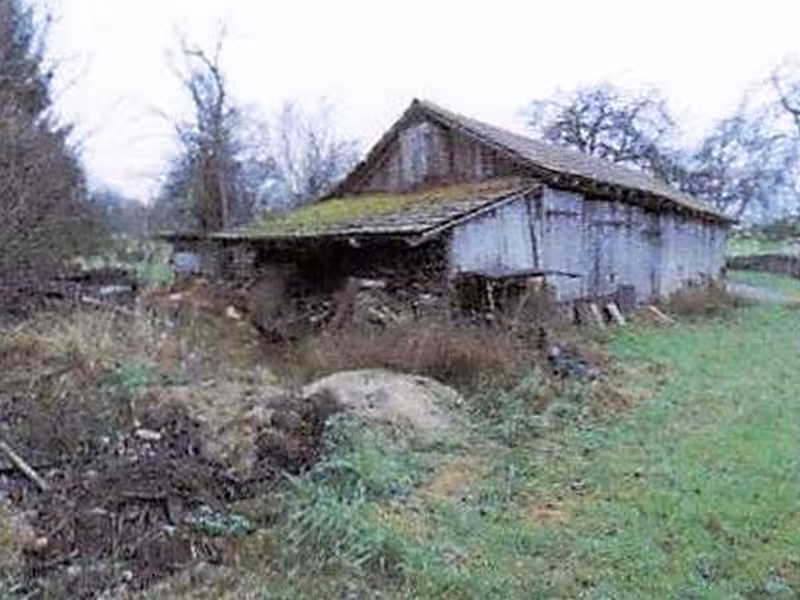 Landwirtschaftliches Grundstück in Wiesloch - Bild 2