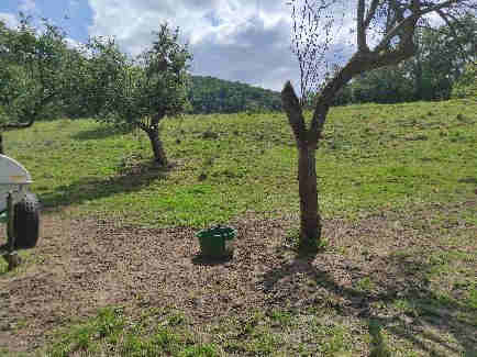 Baugrundstück, land- und forstwirtschaftlich genutztes Grundstück in Lautertal (Odenwald) - Bild 3
