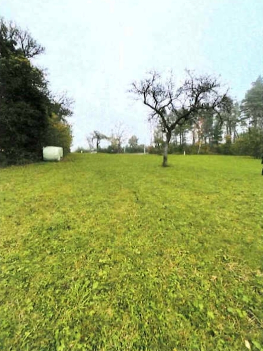 Wiesenfläche in Althütte - Bild 1
