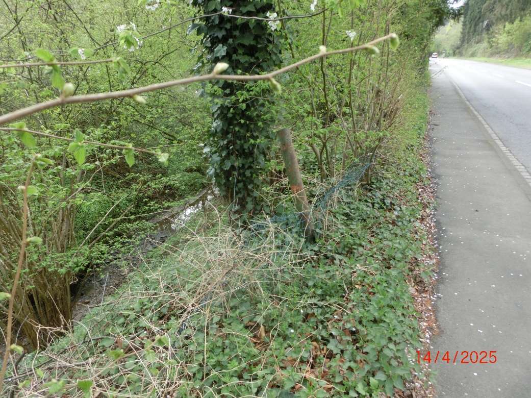 unbebautes Grundstück in Hennef (Sieg) - Bild 3