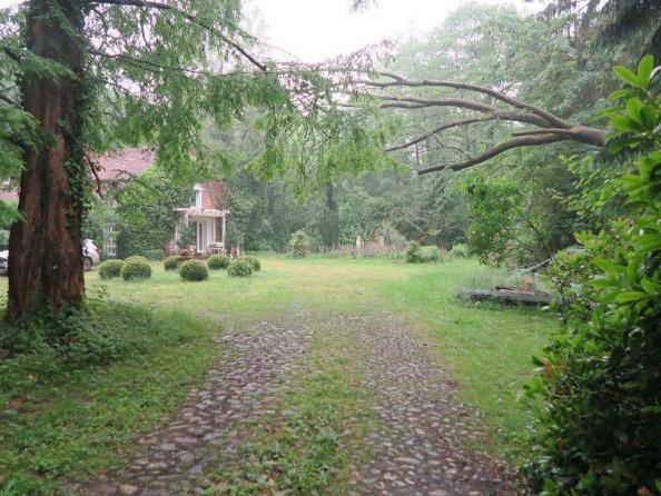 Sonstiges in Schneverdingen - Bild 3