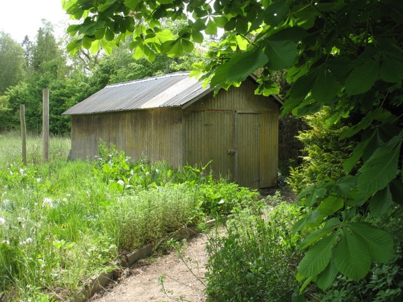 Zweifamilienwohnhaus mit Garage/Stall in Schönwalde am Bungsberg - Bild 3