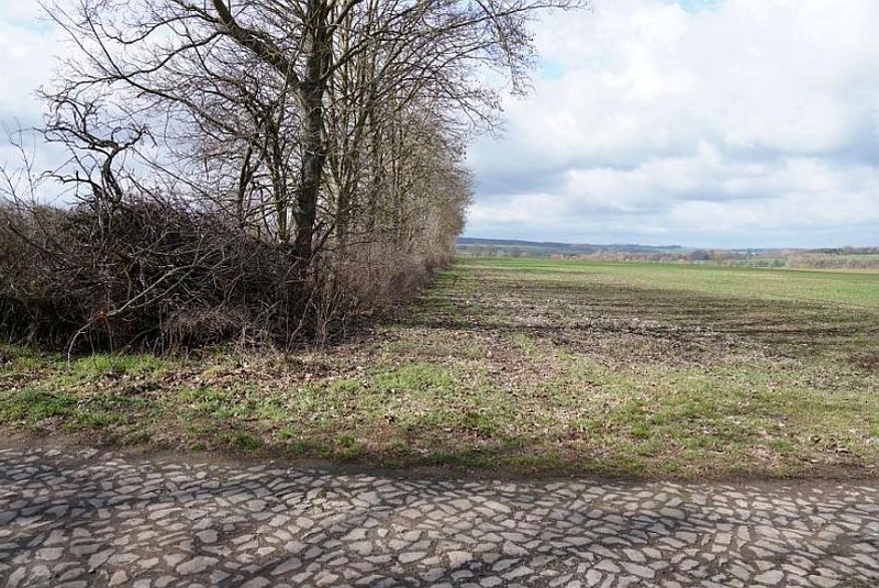 Landwirtschaftsfläche in Wanzleben-Börde - Bild 2